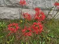 [후기] 2025년 9월 드로잉연구회 정기모임